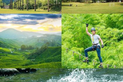 青芷森林·咖啡店