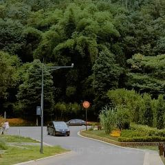 鲜道幸福里(重庆路店) User Photo