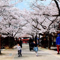 Ichiyou Main Store 여행 사진