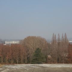 光山縣潑河鎮三裡橋土菜館張用戶圖片