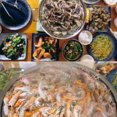 桃源活羊馆(二部) User Photo