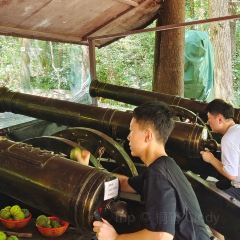 大塘里农家乐 User Photo