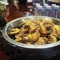 联盟滋味黄莲树下 User Photo