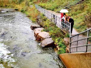 Port Hope Fish Ladder