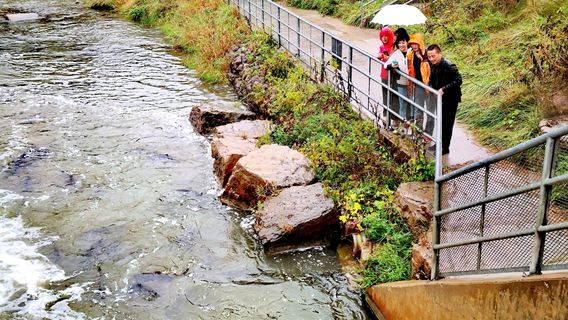 Port Hope Fish Ladder