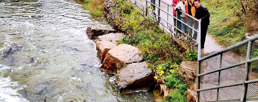 Port Hope Fish Ladder