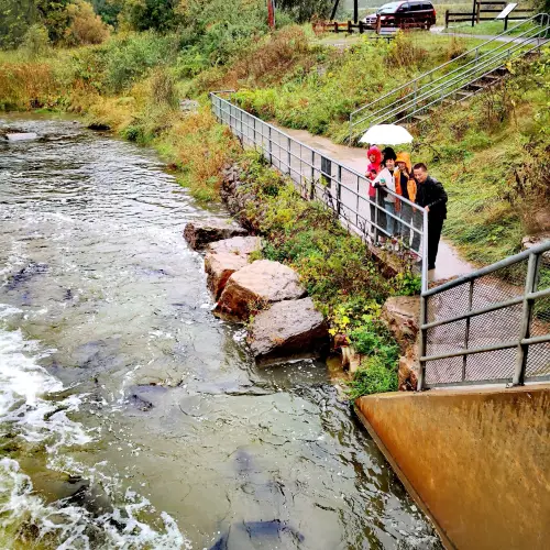 Port Hope Fish Ladder