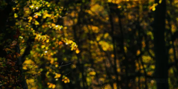 斯滕斯國家公園