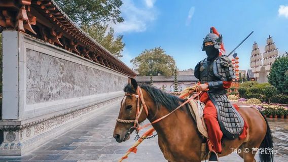Horse Riding in Xinxiang