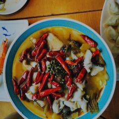 船歌鱼水饺(嘉年华·海信广场VILLAGE店) User Photo