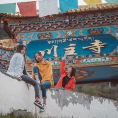 川主寺張用戶圖片