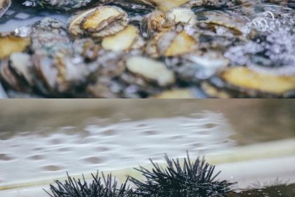 嵊泗县中心农贸市场