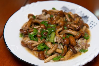 千菌万菇佰珍膳菌菇特色餐厅