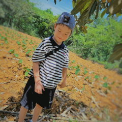 归来居 User Photo