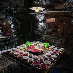 重慶老火鍋張用戶圖片