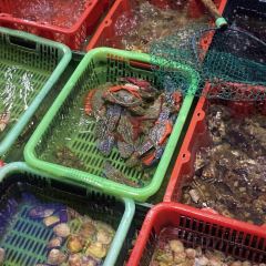 幸福岛海鲜大排档(南澳岛旅游必选店) User Photo