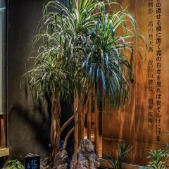 江左尚白(友谊阳光城店) User Photo
