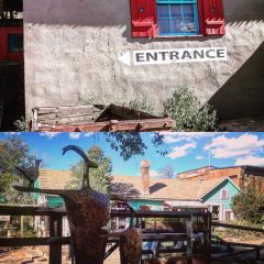 Java Junction User Photo