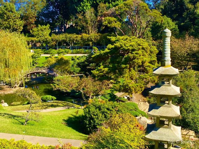Huntington Library Chinese Garden Tea House
