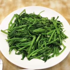 黃龍莊張用戶圖片