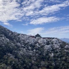莽山天台山美食 User Photo