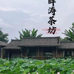 Xue Tao · In the Yard User Photo