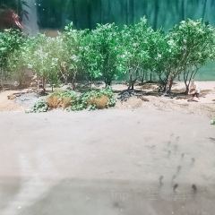 安吉自然博物院自然体验餐厅 User Photo