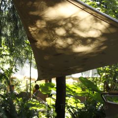 Wild Coffee Studio User Photo