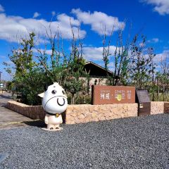 启东洲颐温泉酒店·餐厅 여행 사진