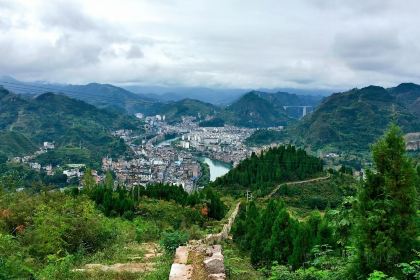 安家烧饼(联合街店)
