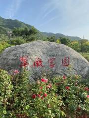 Cuiwei Gongyuan