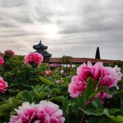 Caozhoumudanyuanhong Soup Lamb Restaurant User Photo