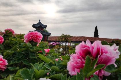 Caozhoumudanyuanhong Soup Lamb Restaurant