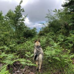 海螺沟阿布的若丁山 User Photo