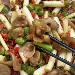 葱葱鲫鱼 User Photo