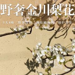 四姑娘山仰望星空·Vacilando度假庄园(长坪沟景区店)·猎户餐厅 User Photo