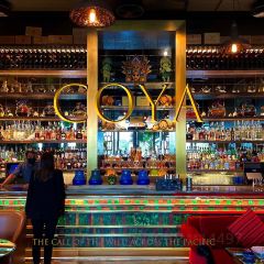 COYA User Photo