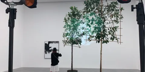 白立方畫廊