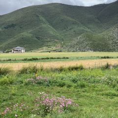 Xueyucangjia Hot Pot (zong) 여행 사진