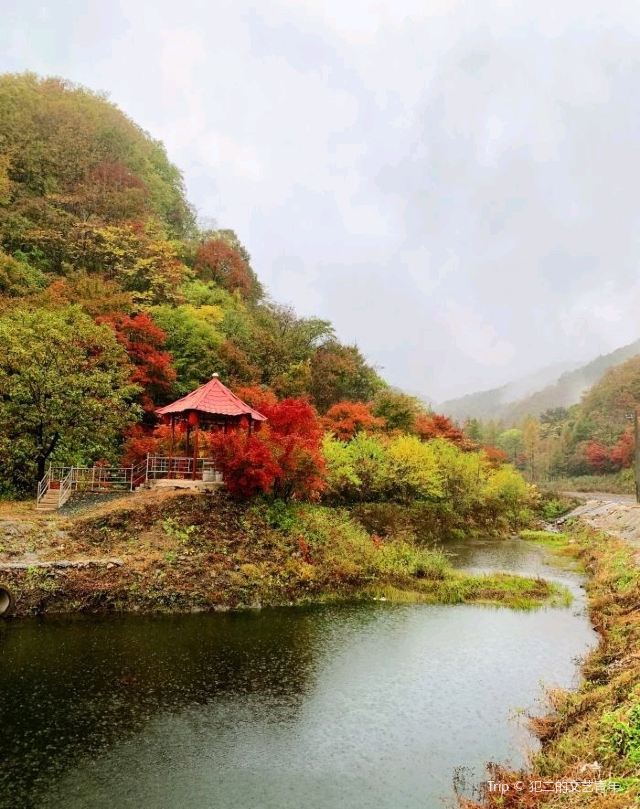 양호구