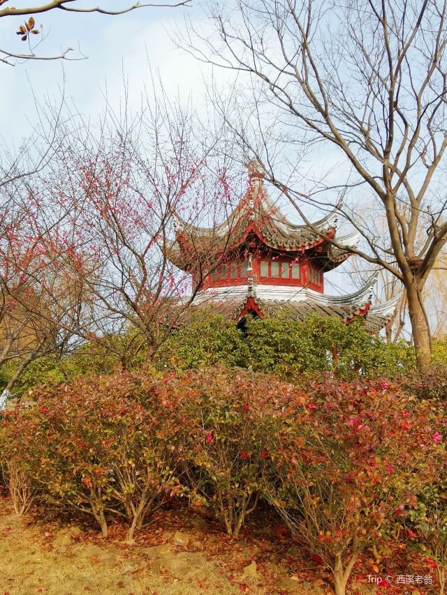 우꾸쟝주팅공원