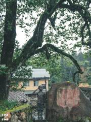 Taininghongjun Street