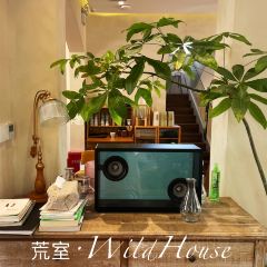 荒室·WildHouse·萬綠莫干山張用戶圖片
