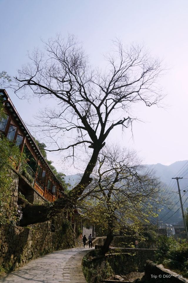 冠佩村