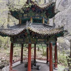 世外桃源 User Photo