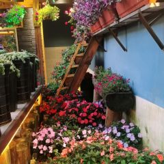912张宜花园餐厅 User Photo