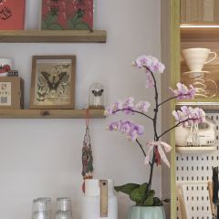 後咖啡·HOME COFFEE張用戶圖片