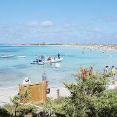 Sant Francesc User Photo