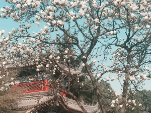 広仁寺