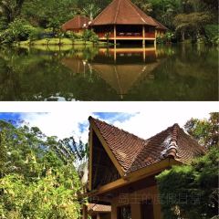 Vakona Forest Lodge User Photo